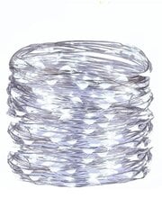 Garlandkardin Silverwire, 200 LED-i цена и информация | Гирлянды | kaup24.ee