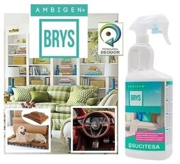 Средство для удаления запаха AMBIGEN BRYS 750ML цена и информация | Домашние ароматы с палочками | kaup24.ee