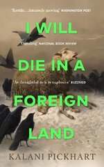 I Will Die in a Foreign Land цена и информация | Фантастика, фэнтези | kaup24.ee