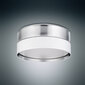 Laevalgusti TK Lighting Hilton Silver 4181 hind ja info | Laelambid | kaup24.ee