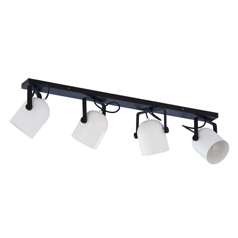 Laevalgusti TK Lighting Spectra black/white 3492 hind ja info | Laelambid | kaup24.ee