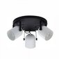 Laevalgusti TK Lighting Spectra black/white 3491 hind ja info | Laelambid | kaup24.ee