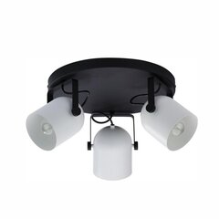 Потолочный светильник TK Lighting Spectra black/white 3491 цена и информация | Потолочные светильники | kaup24.ee