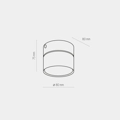 Laevalgusti TK Lighting Space 3390 hind ja info | Laelambid | kaup24.ee