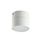 Laevalgusti TK Lighting Space 3390 цена и информация | Laelambid | kaup24.ee