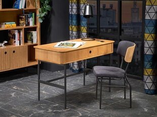 Письменный стол Smart B-1, коричневый цвет цена и информация | Компьютерные, письменные столы | kaup24.ee
