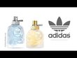 Tualettvesi Adidas Born Original Today EDT meestele 50 ml hind ja info | Meeste parfüümid | kaup24.ee