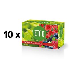 Puuviljatee ETNO FRUIT PEASURE, 22 x 1,5 g, pakis 10 tk. hind ja info | Tee | kaup24.ee
