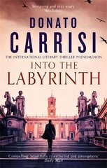 Into the Labyrinth цена и информация | Фантастика, фэнтези | kaup24.ee