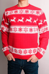 Рождественский мужской свитер R757 цена и информация | Мужские свитера | kaup24.ee