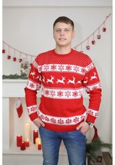 Meeste jõulukampsun R757 цена и информация | Мужские свитера | kaup24.ee