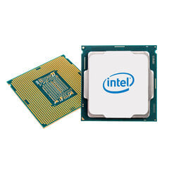 Intel Pentium Gold G6405 4,10 GHz LGA1200 hind ja info | Protsessorid (CPU) | kaup24.ee