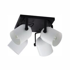 Laevalgusti TK Lighting Spectra black/white kwadrat 3493 hind ja info | Laelambid | kaup24.ee