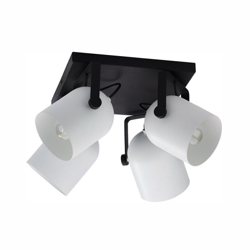 Laevalgusti TK Lighting Spectra black/white kwadrat 3493 цена и информация | Laelambid | kaup24.ee