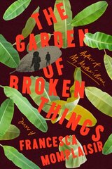 Garden of Broken Things: A novel hind ja info | Fantaasia, müstika | kaup24.ee
