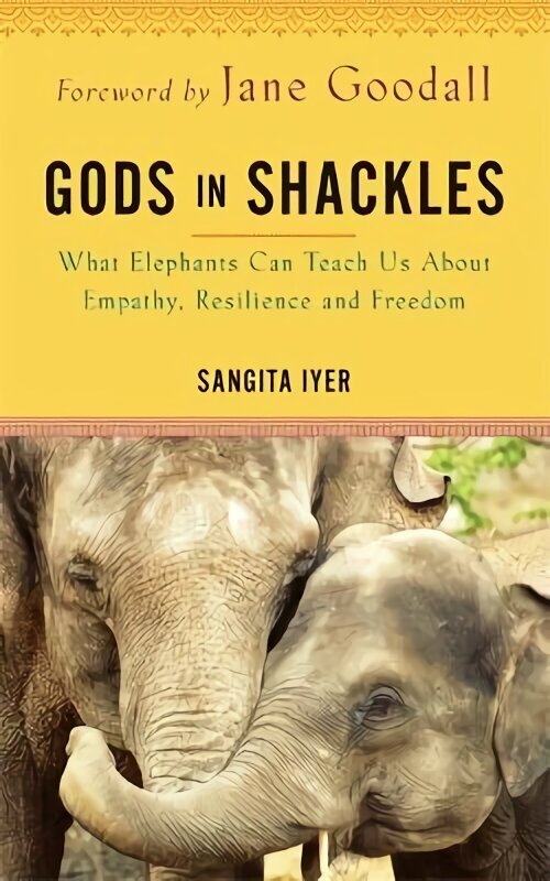 Gods in Shackles: What Elephants Can Teach Us About Empathy, Resilience and Freedom цена и информация | Elulooraamatud, biograafiad, memuaarid | kaup24.ee