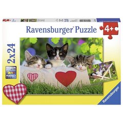 Ravensburger pusle kassid 2x24 tk цена и информация | Пазлы | kaup24.ee