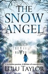 The Snow Angel Main Market Ed. цена и информация | Фантастика, фэнтези | kaup24.ee