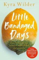 Little Bandaged Days цена и информация | Фантастика, фэнтези | kaup24.ee