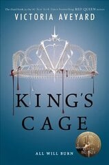 King's Cage цена и информация | Книги для подростков и молодежи | kaup24.ee