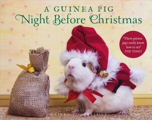 Guinea Pig Night Before Christmas цена и информация | Фантастика, фэнтези | kaup24.ee