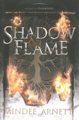 Shadow & Flame цена и информация | Книги для подростков и молодежи | kaup24.ee