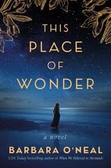 This Place of Wonder: A Novel цена и информация | Фантастика, фэнтези | kaup24.ee