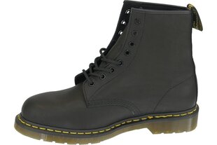 Meeste jalatsid Dr Martens цена и информация | Мужские ботинки | kaup24.ee