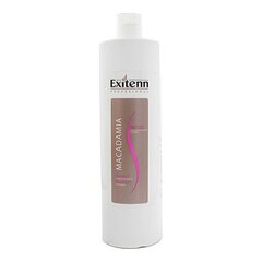 Šampoon Exitenn Silver, Whites & Blondes (1000 ml) цена и информация | Шампуни | kaup24.ee