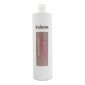 Šampoon Exitenn Silver, Whites & Blondes (1000 ml) цена и информация | Šampoonid | kaup24.ee