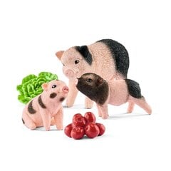 Фигурки Мини-свинья и поросята, Schleich цена и информация | Игрушки для мальчиков | kaup24.ee