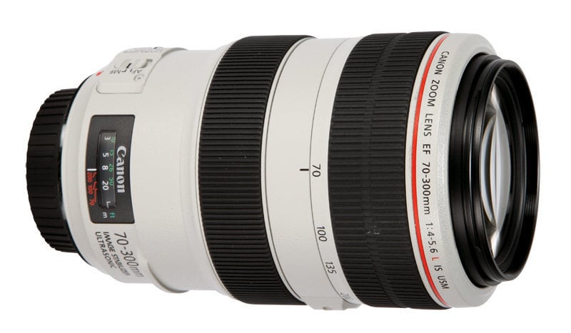 Canon EF 70-300mm f/4-5.6L IS USM цена и информация | Objektiivid | kaup24.ee