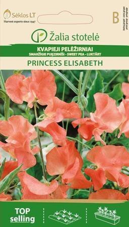 Lillehernes Princess Elisabeth цена и информация | Lilleseemned | kaup24.ee