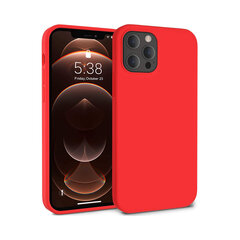 Силиконовый чехол для iPhone 12 Mini (5,4″) — Красный цена и информация | Чехлы для телефонов | kaup24.ee
