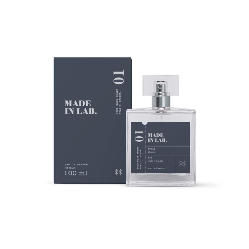 Parfüümvesi Made in Lab 01 Men EDP meestele 100 ml hind ja info | Meeste parfüümid | kaup24.ee