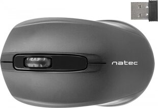 Natec NMY-0879, черный цена и информация | Мыши | kaup24.ee