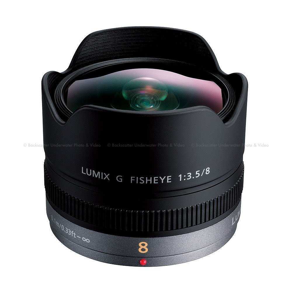 Panasonic Lumix G 8mm f/3.5 Fisheye objektiiv hind ja info | Objektiivid | kaup24.ee