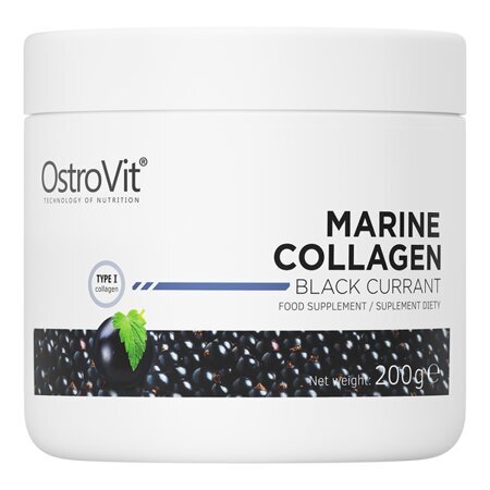 Toidulisand, OstroVit Marine Collagen Mustsõstramaitseline, 200 g цена и информация | Vitamiinid, toidulisandid, ilu preparaadid | kaup24.ee