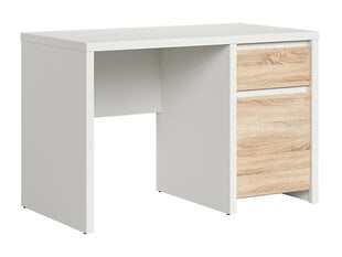 Письменный стол Kaspian 1D1S/120, белый / дубовый цвет цена и информация | Компьютерные, письменные столы | kaup24.ee