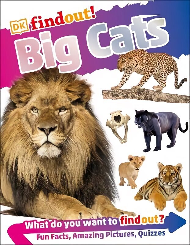 DKfindout! Big Cats hind ja info | Noortekirjandus | kaup24.ee