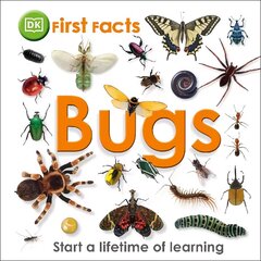 First Facts Bugs hind ja info | Noortekirjandus | kaup24.ee