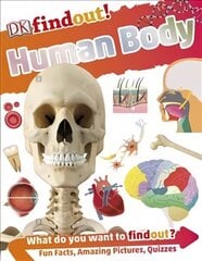 DKfindout! Human Body hind ja info | Noortekirjandus | kaup24.ee