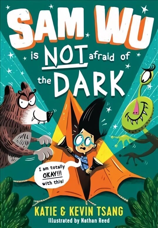 Sam Wu is NOT Afraid of the Dark! цена и информация | Noortekirjandus | kaup24.ee