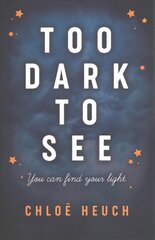 Too Dark to See цена и информация | Книги для подростков и молодежи | kaup24.ee
