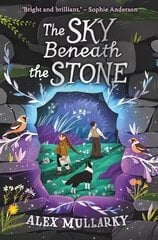 Sky Beneath the Stone цена и информация | Книги для подростков и молодежи | kaup24.ee