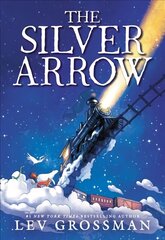 Silver Arrow цена и информация | Книги для подростков и молодежи | kaup24.ee