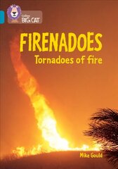 Firenadoes: Tornadoes of fire: Band 13/Topaz цена и информация | Книги для подростков и молодежи | kaup24.ee