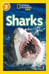 Sharks: Level 3 цена и информация | Книги для подростков и молодежи | kaup24.ee