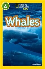 Whales: Level 4 hind ja info | Noortekirjandus | kaup24.ee