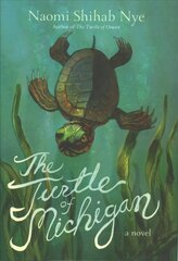 Turtle of Michigan: A Novel hind ja info | Noortekirjandus | kaup24.ee